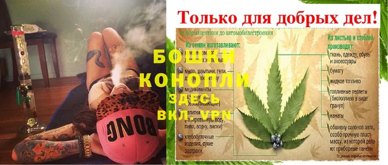 это клад  Старая Купавна  Бошки марихуана Ganja 